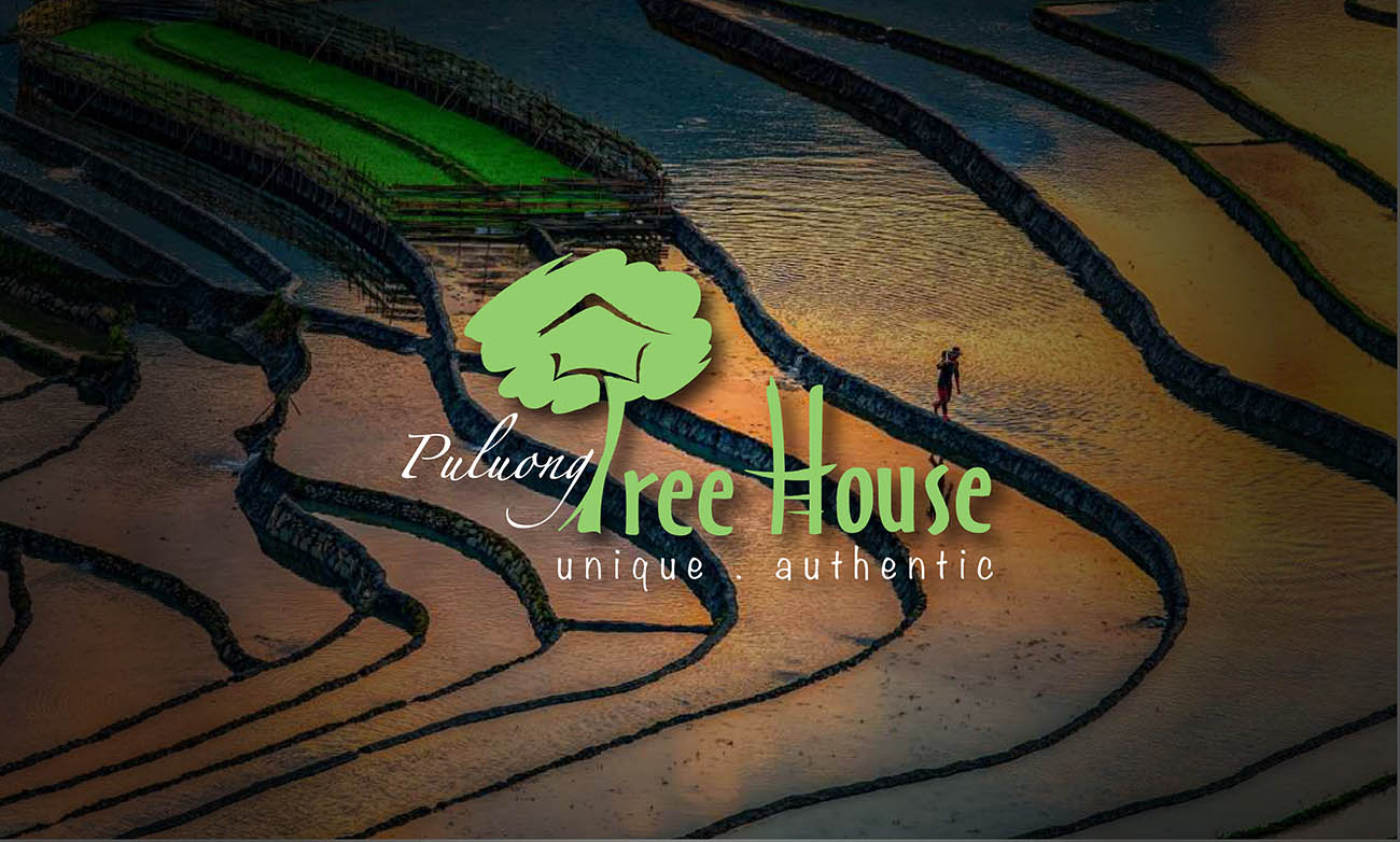 Puluong Tree House